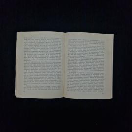 Картинка 4