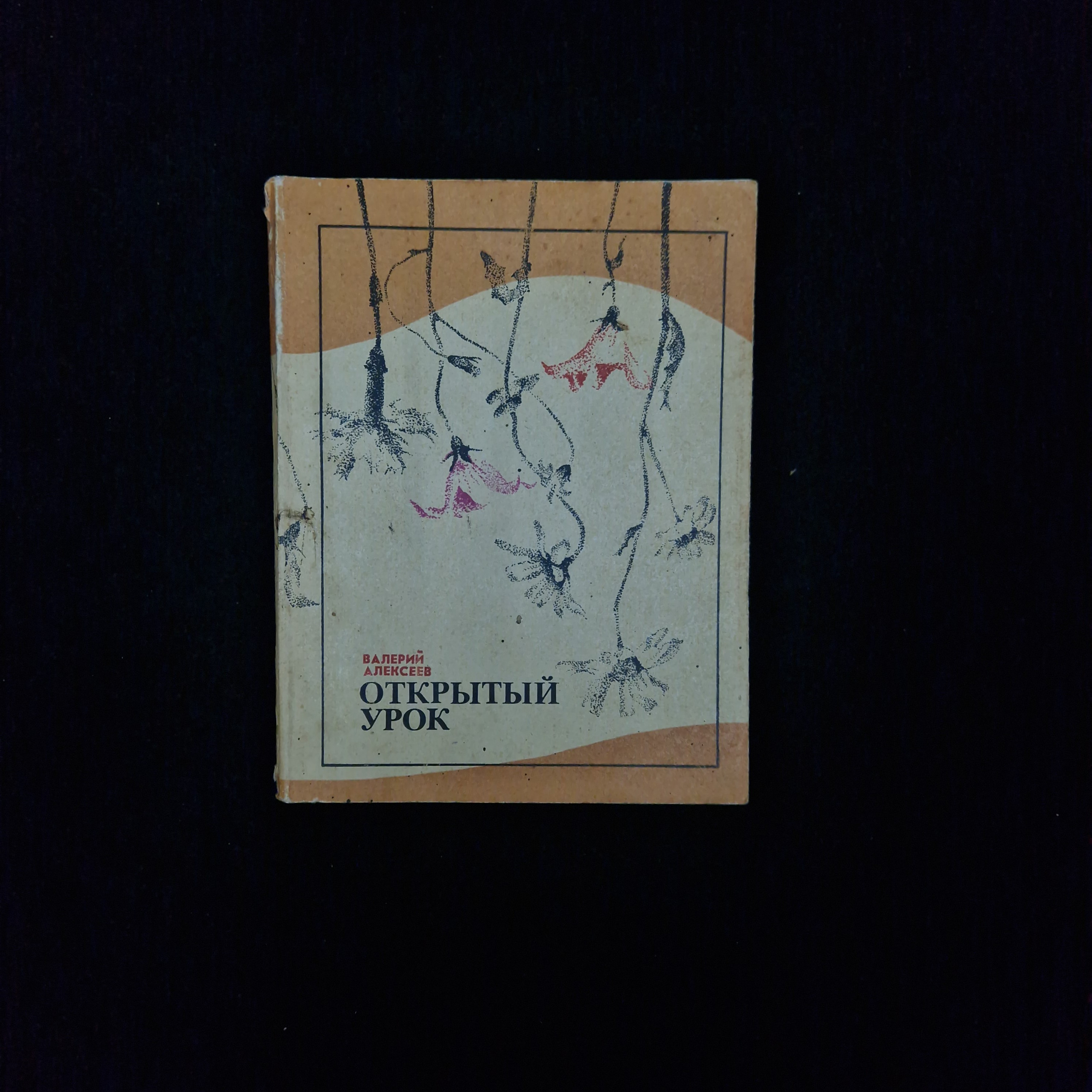 Картинка 1
