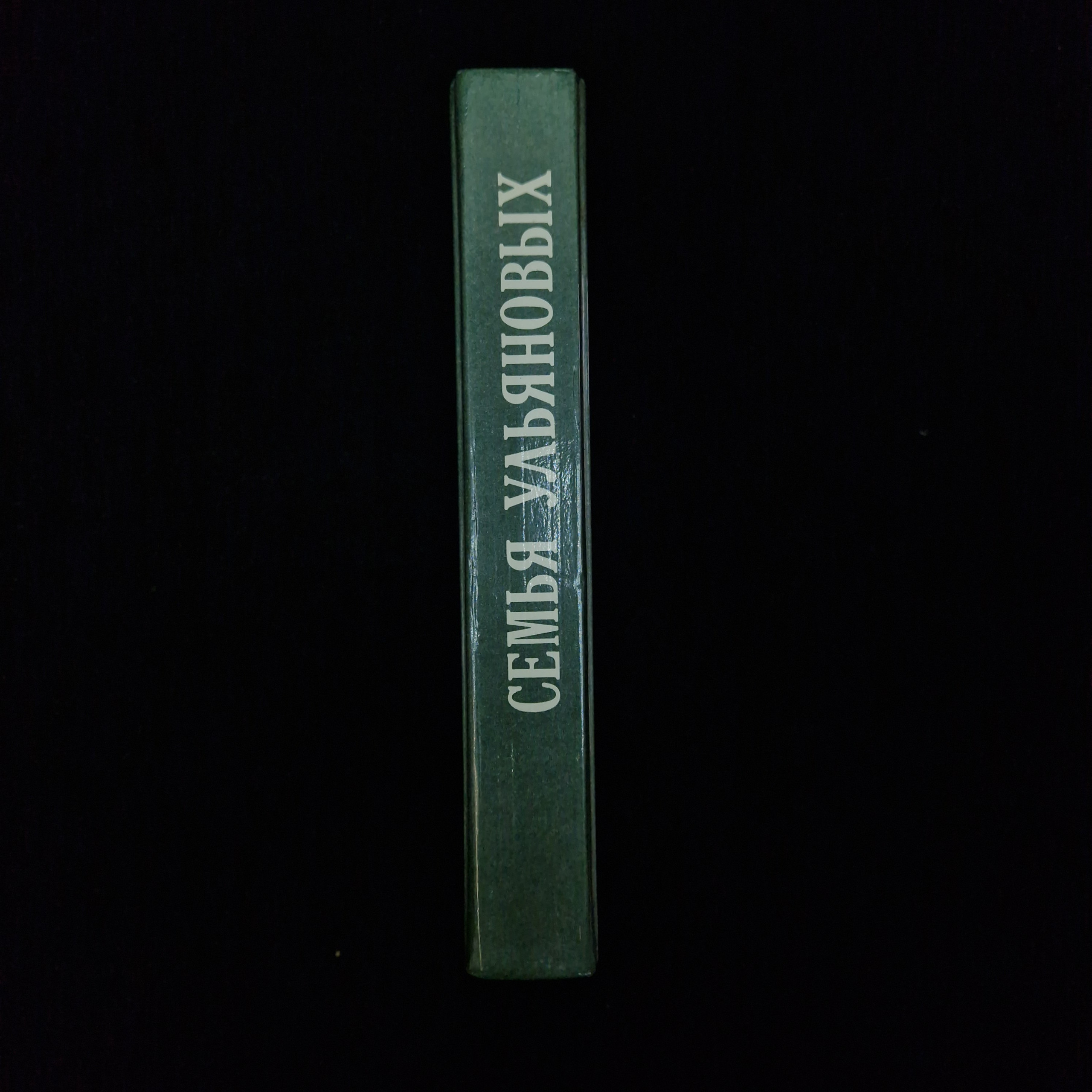 Картинка 2