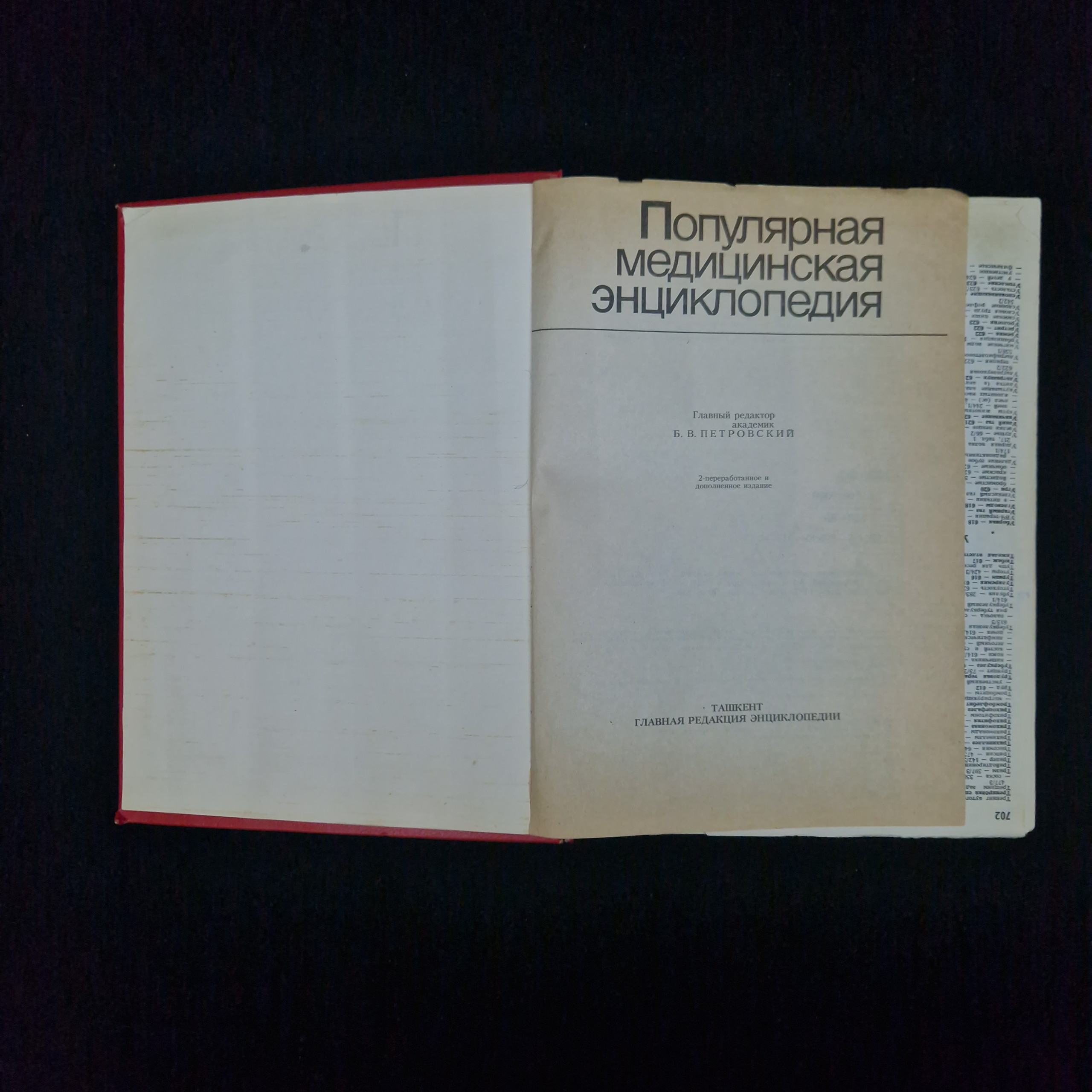 Картинка 3