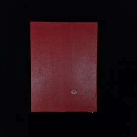 Картинка 2