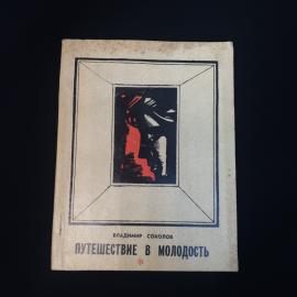 Путешествие в молодость. Книга СССР, повесть о нравственном выборе художника и семейной драме