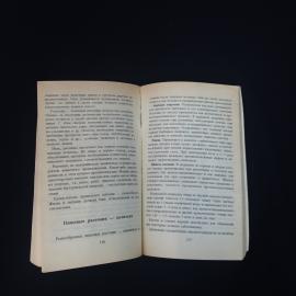 Картинка 5