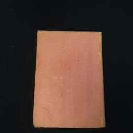 Картинка 3