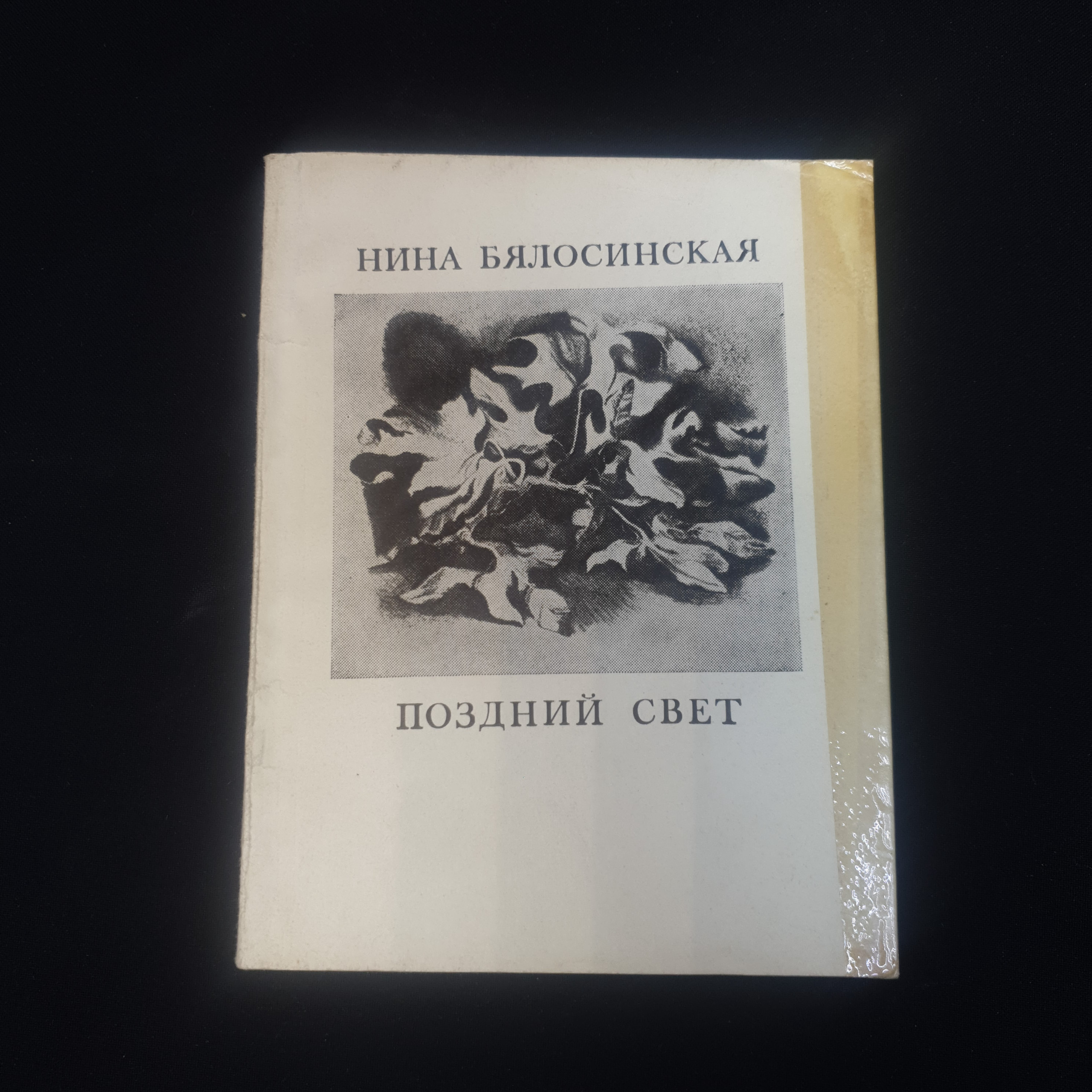 Картинка 1
