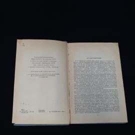 Картинка 4