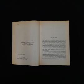 Картинка 5