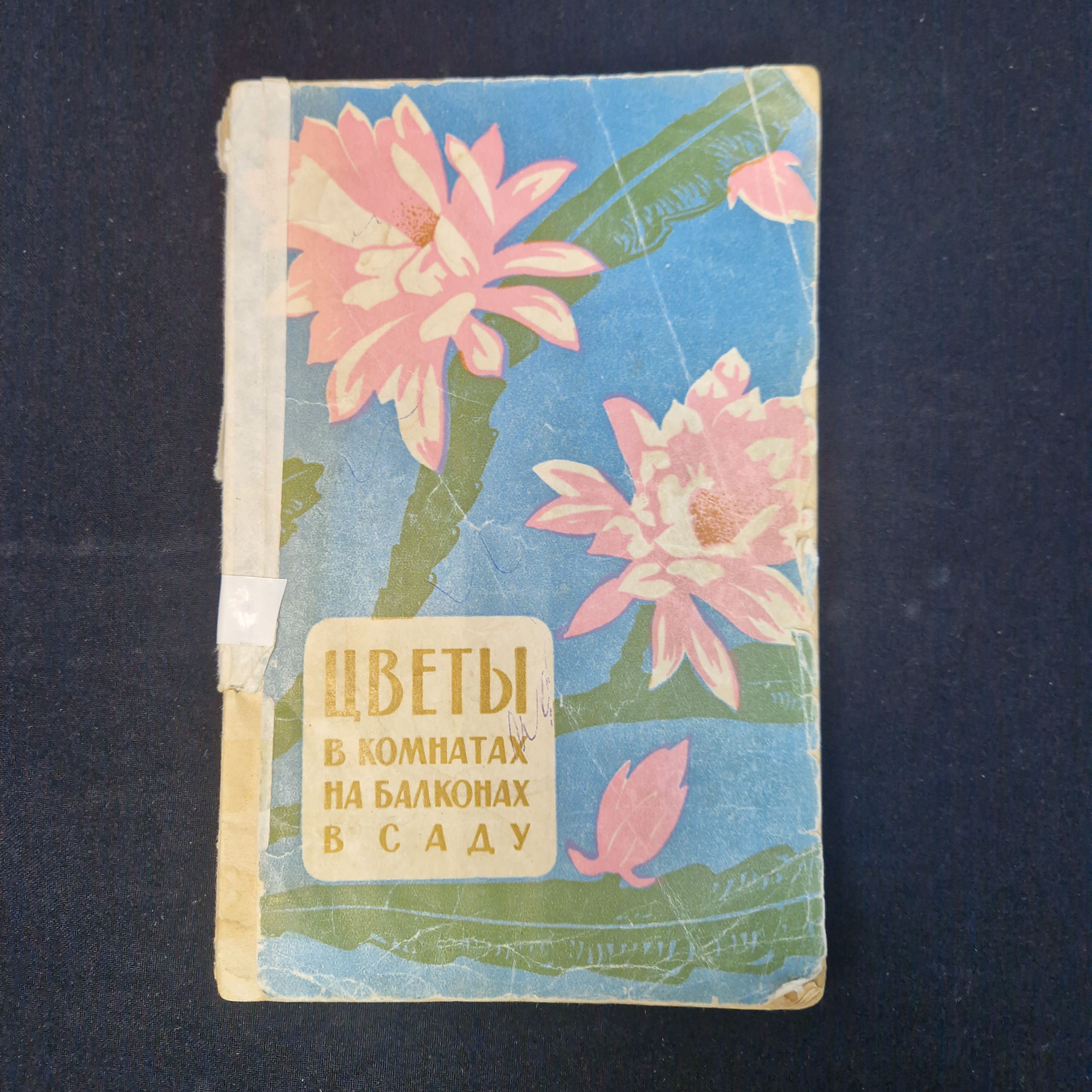 Картинка 1
