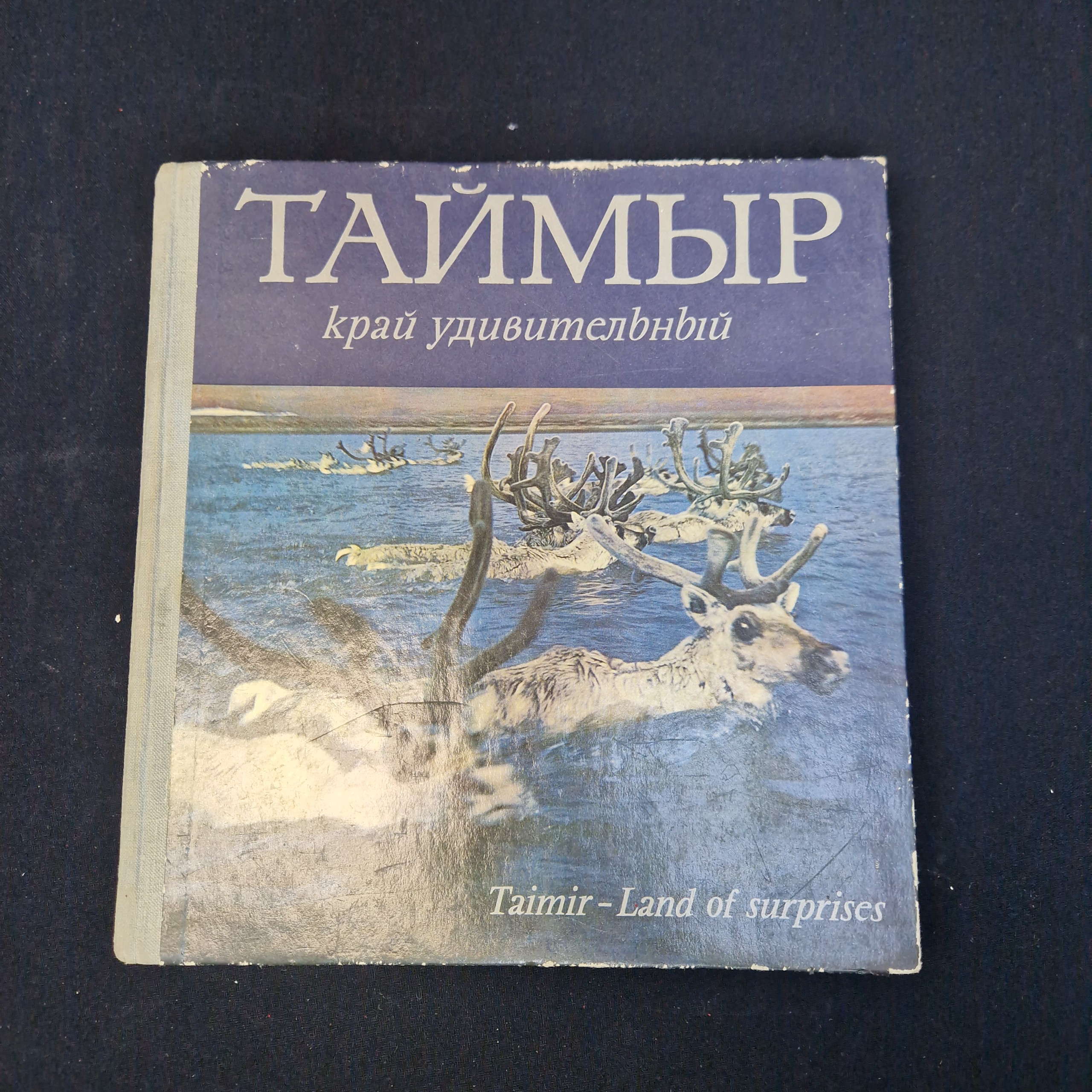 Картинка 1