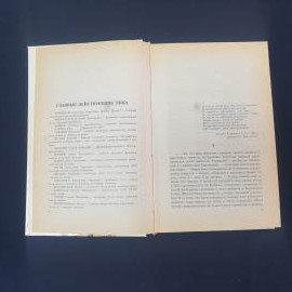Картинка 3
