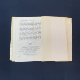 Картинка 5
