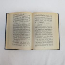 Картинка 3
