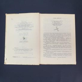 Картинка 2