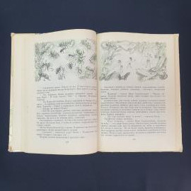 Картинка 3