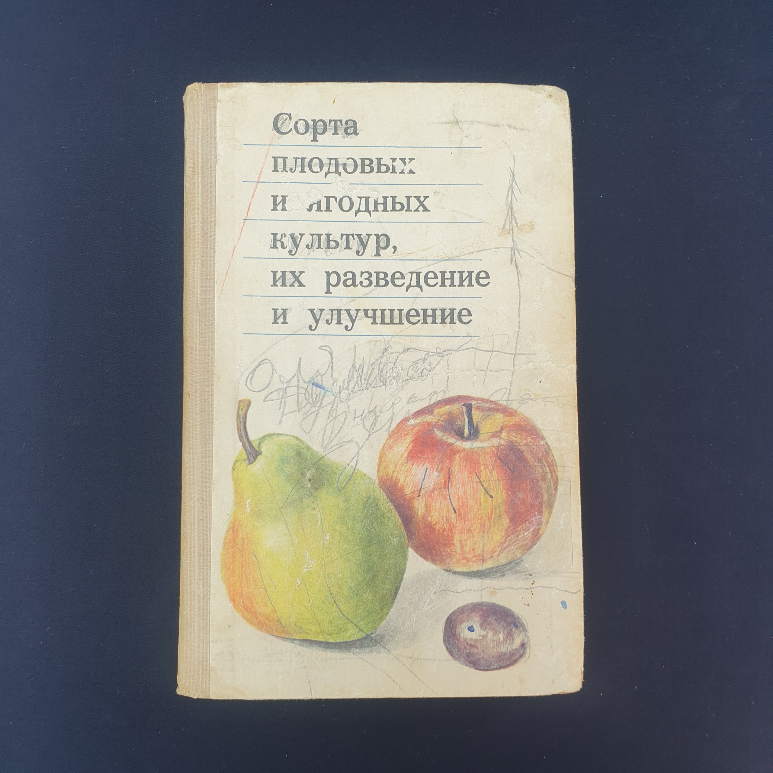 Картинка 1