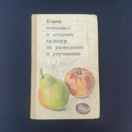 Картинка 1