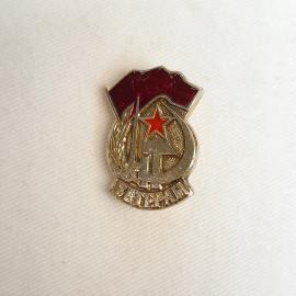 Значок СССР. Ветеран, красная звезда, серп и молот, колосья, знамя. Винтажный значек.