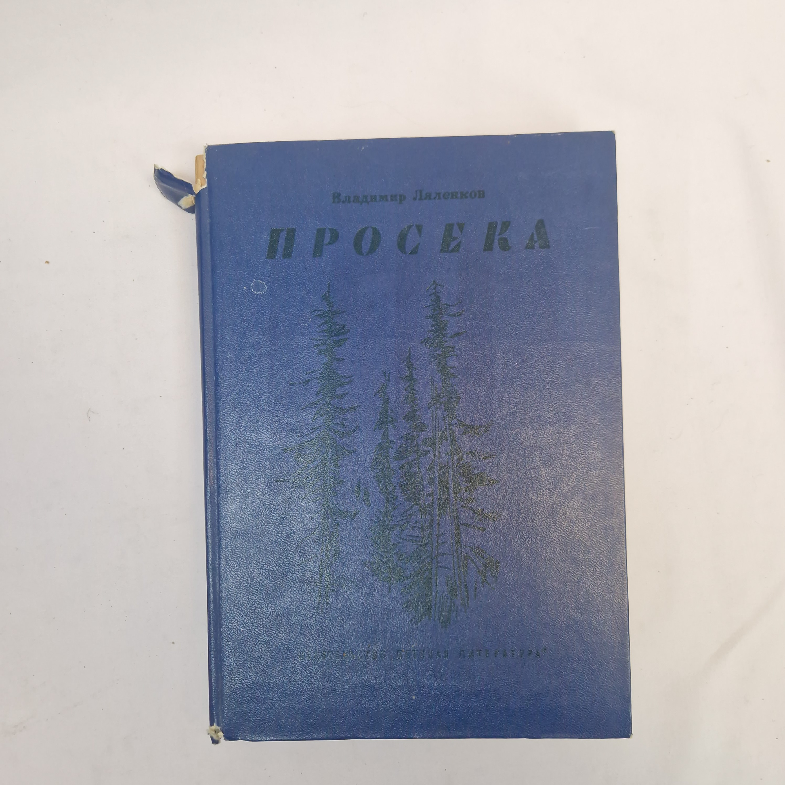 Картинка 1