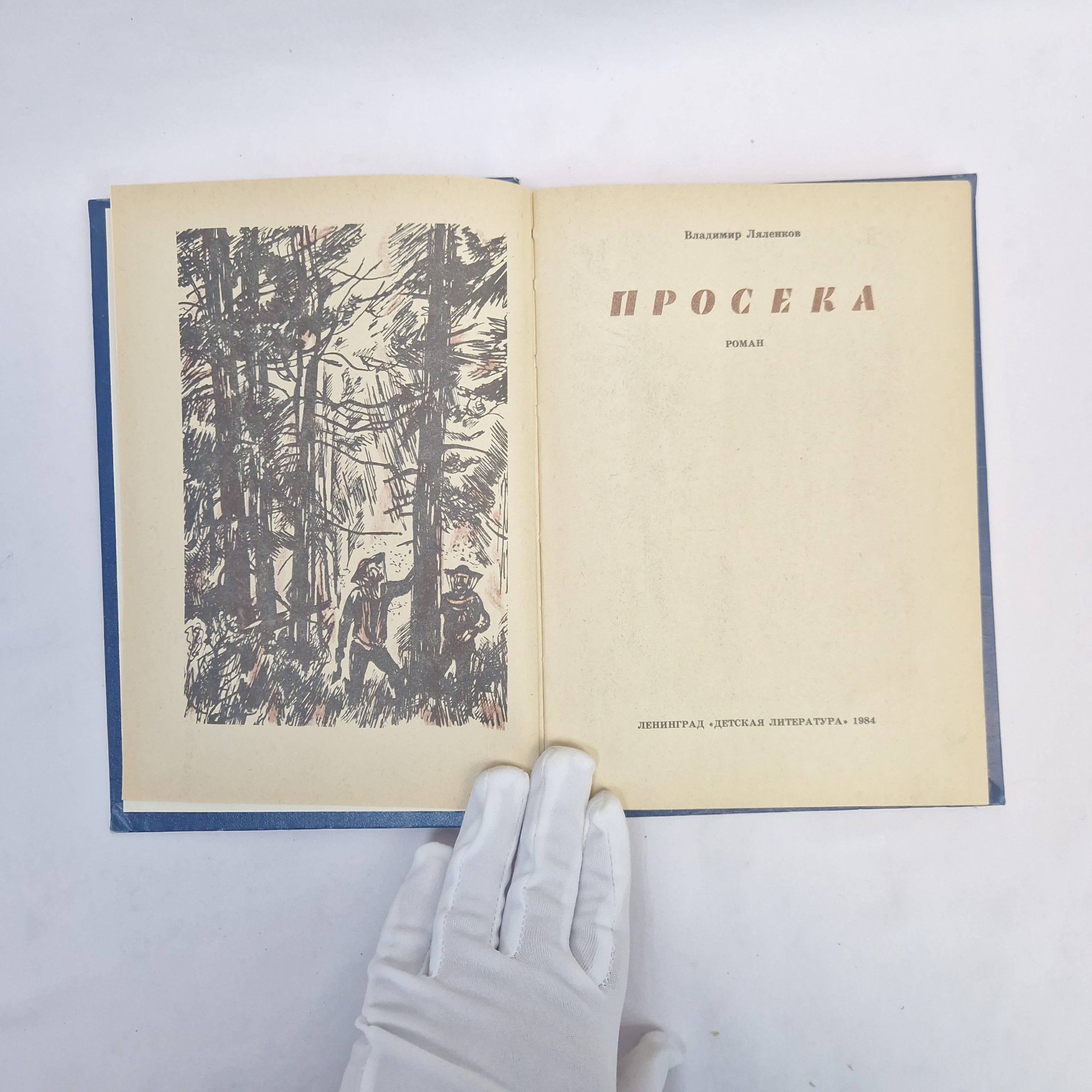 Картинка 4