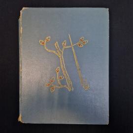 Юрий Томин. Мальчики. Книга СССР, повесть