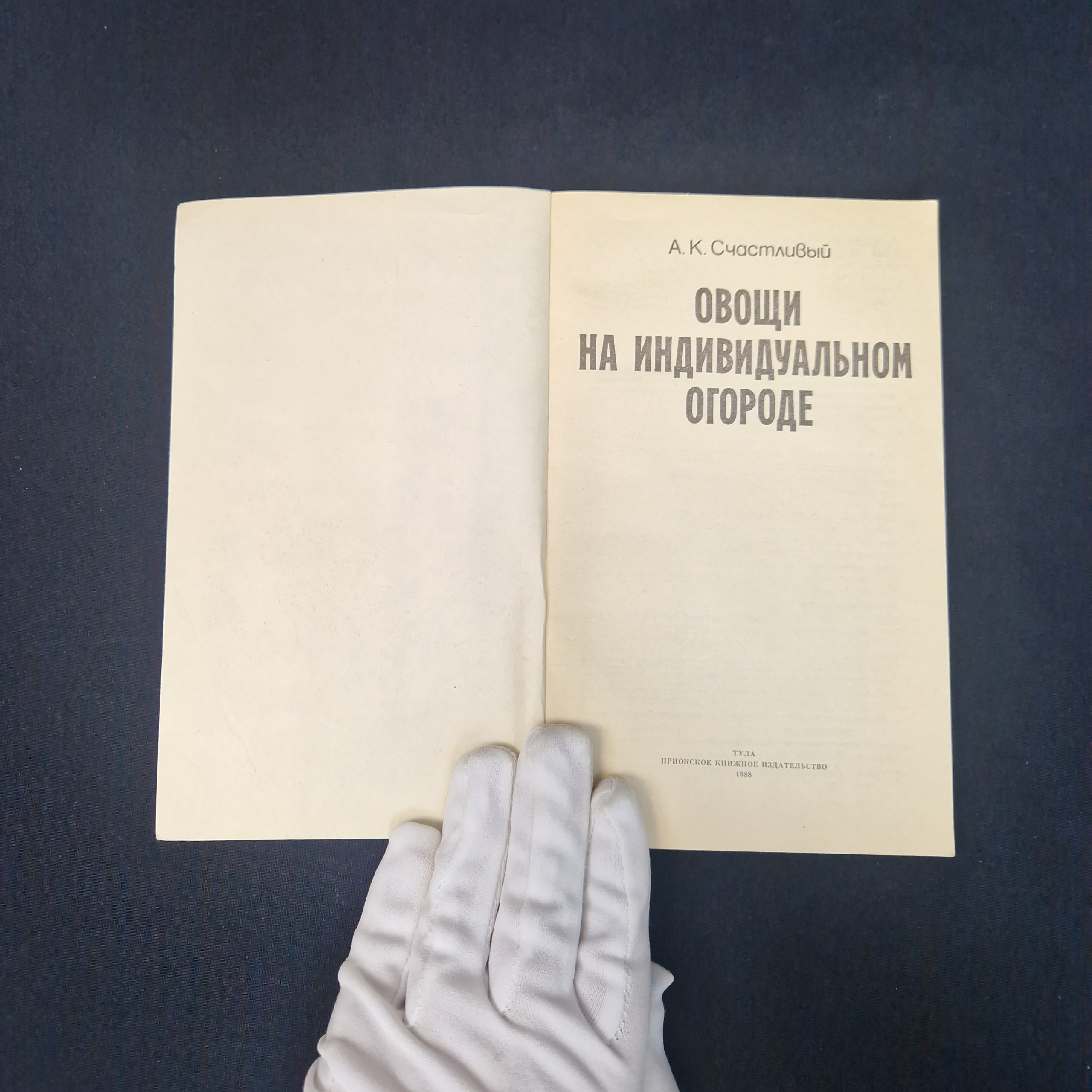 Картинка 4