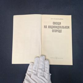 Картинка 4