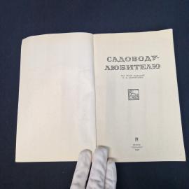 Картинка 4