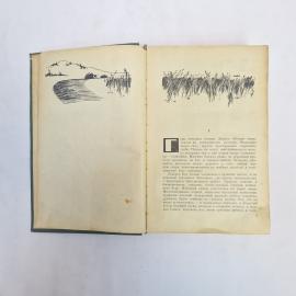 Картинка 5