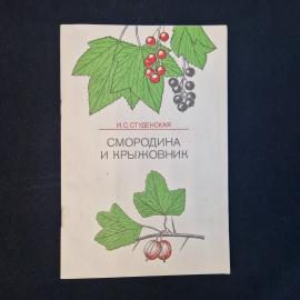 Картинка 1
