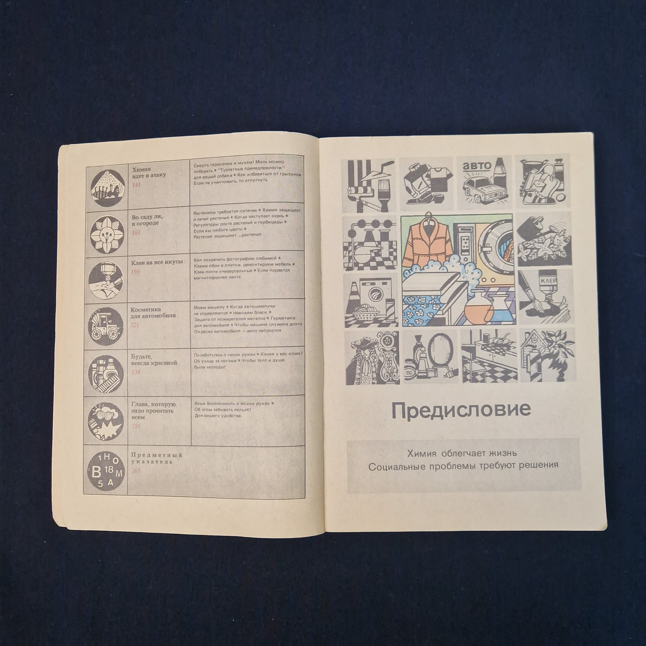 Картинка 5