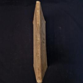 Картинка 2