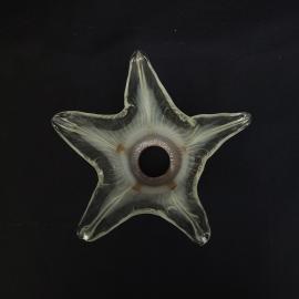 Картинка 3