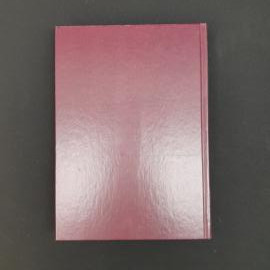 Картинка 5