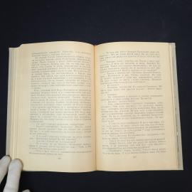Картинка 6