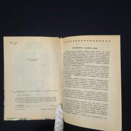 Картинка 5