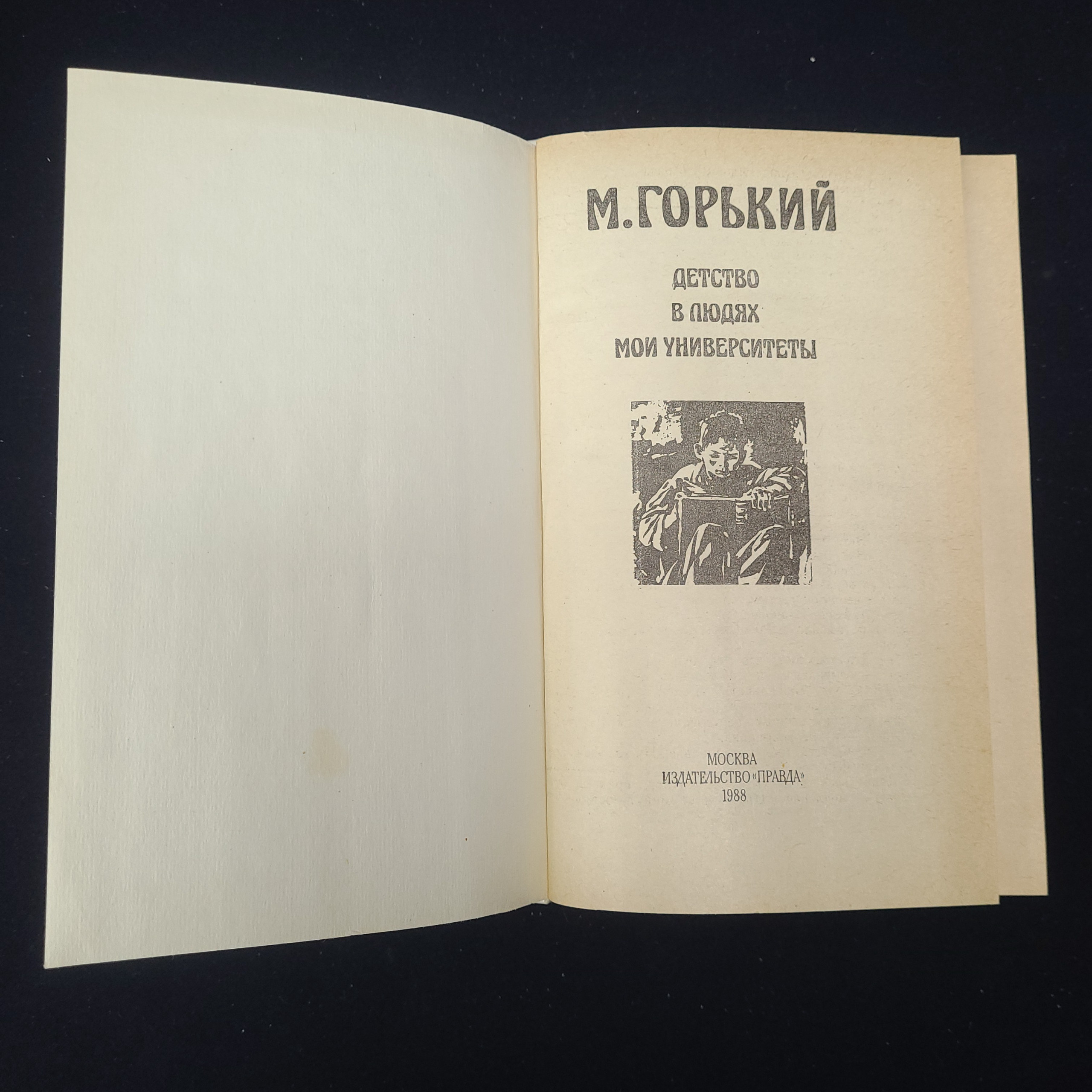 Картинка 4