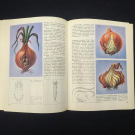 Картинка 6