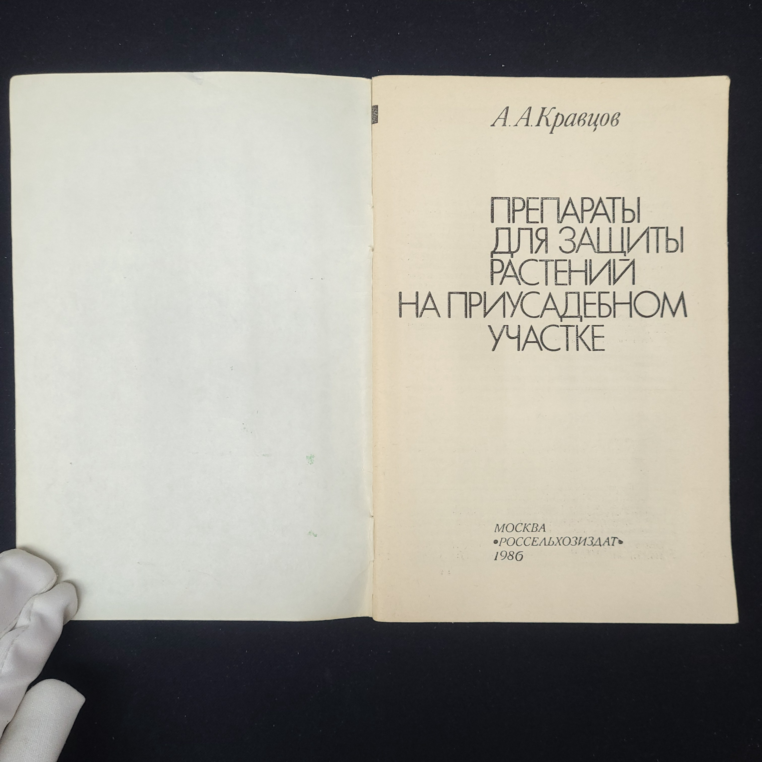 Картинка 3