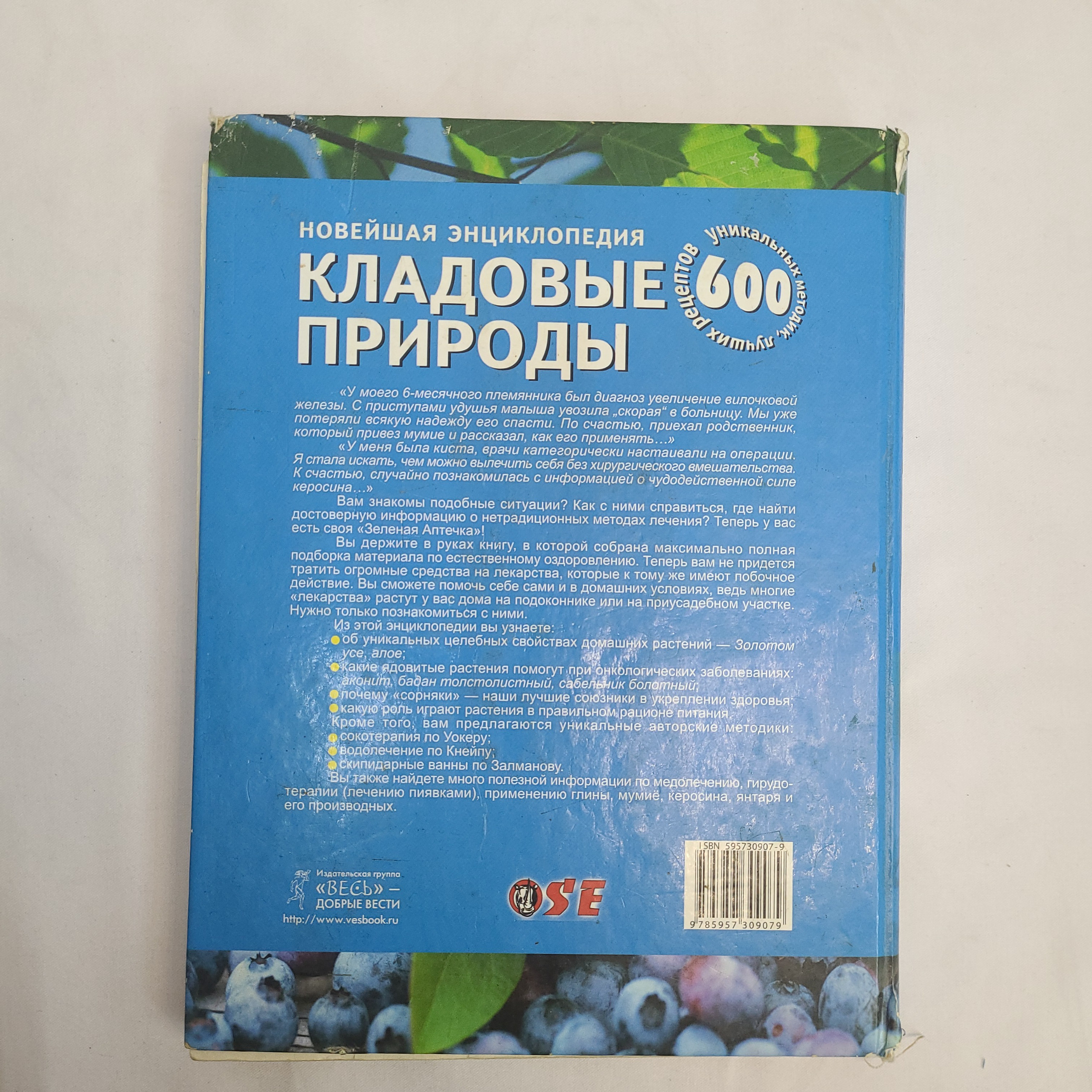 Картинка 3