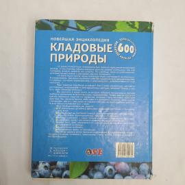 Картинка 3