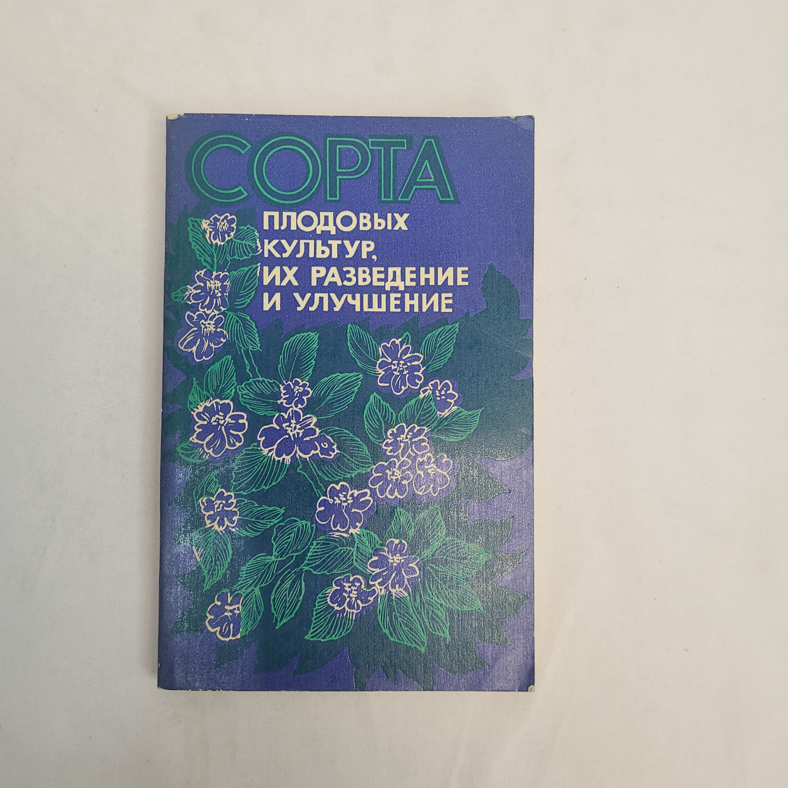 Картинка 1