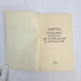 Картинка 4