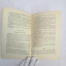 Картинка 6