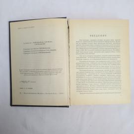 Картинка 5