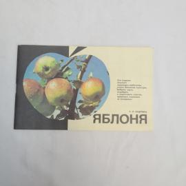 Картинка 1