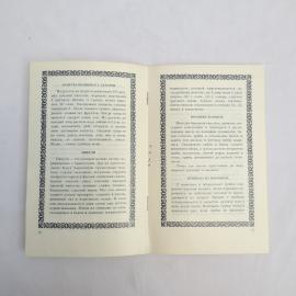 Картинка 5