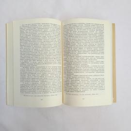 Картинка 6