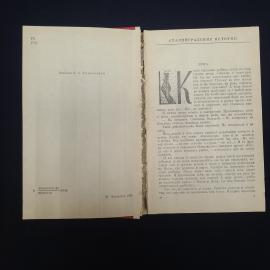 Картинка 5
