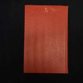 Картинка 3