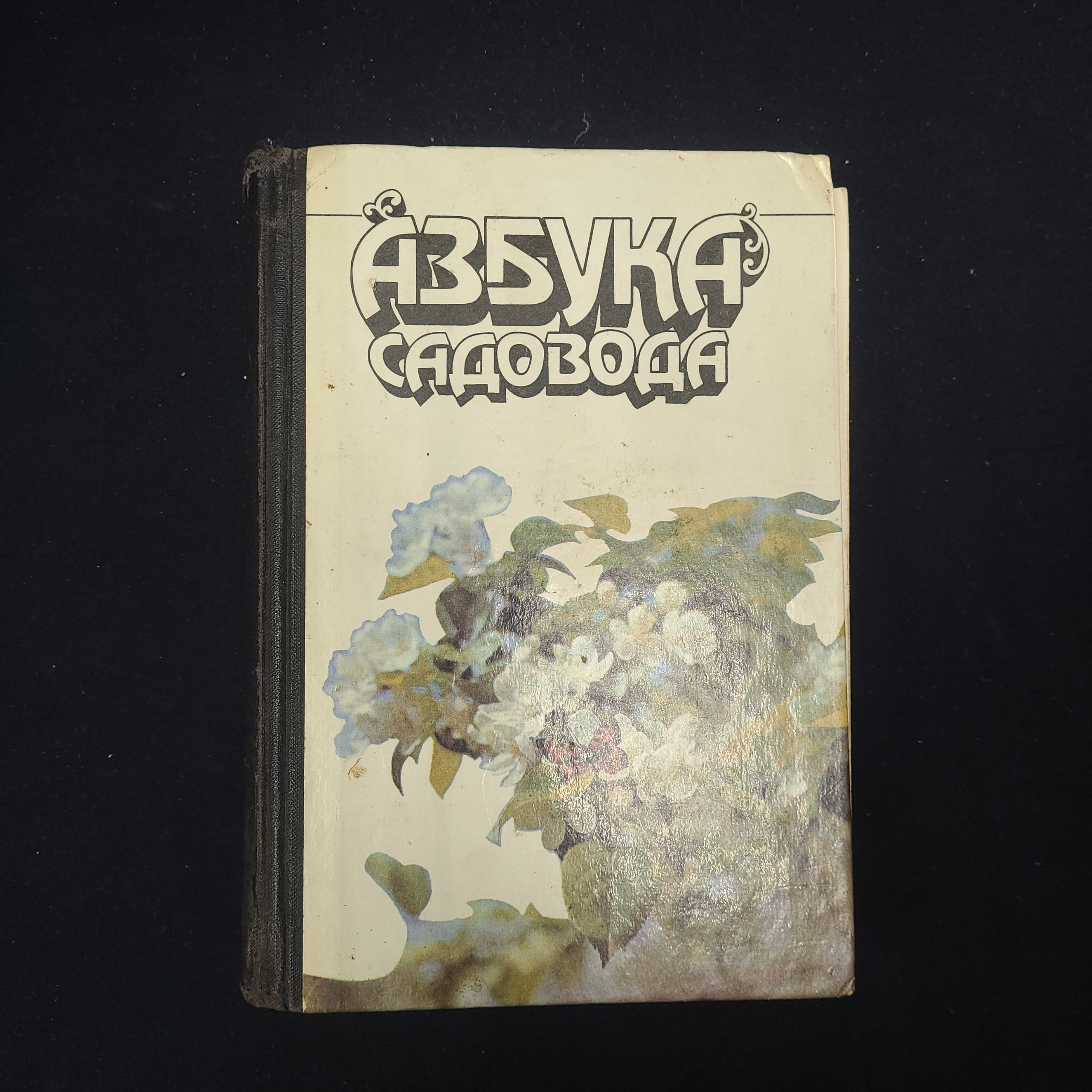 Картинка 1